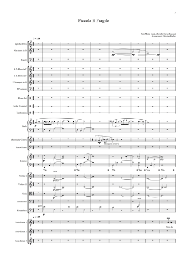 Orchester-Arrangement Piccola E Fragile, The Italian Tenors, Noten für Orchester, Orchester-Partitur, für Orchester arrangiert, Orchester Partitur